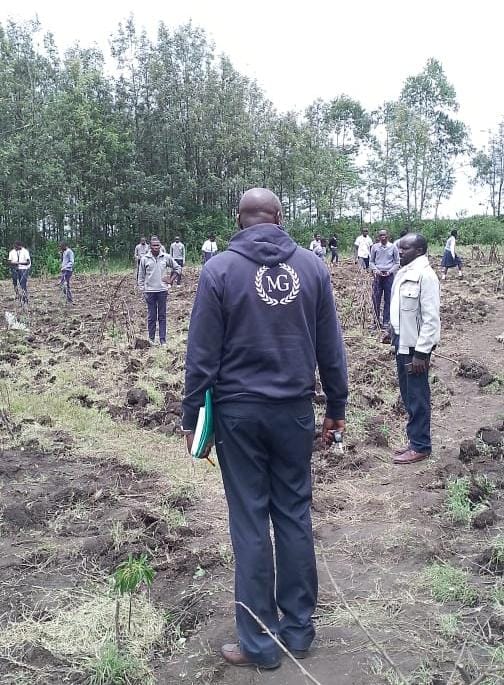 School Farm Activities